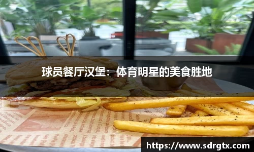 qy球友会