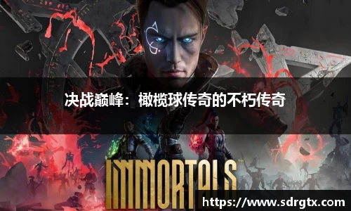 决战巅峰：橄榄球传奇的不朽传奇
