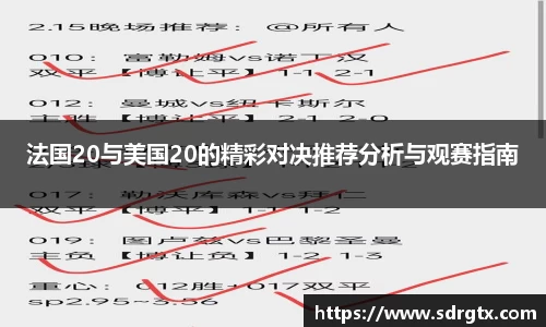法国20与美国20的精彩对决推荐分析与观赛指南